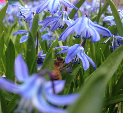 2014-04-11 11.51.37-1