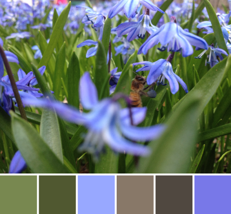 2014-04-11 11.51.37-1-palette (3)