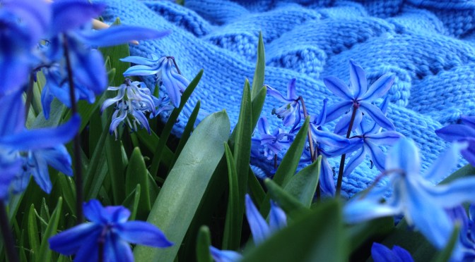 Beauteous, Bountiful, Botanical Blue!