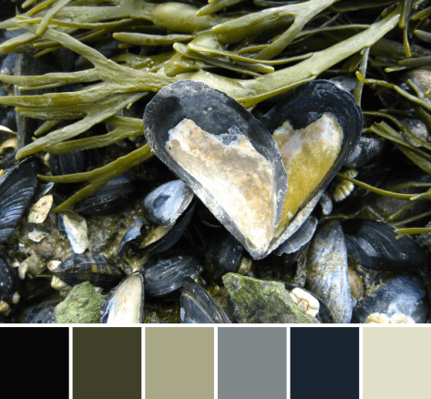 2774943241_ce2f550243_b-palette