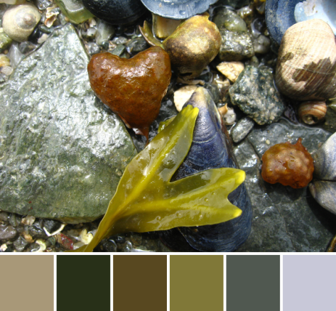 2775769736_b177f8e9cb_b-palette