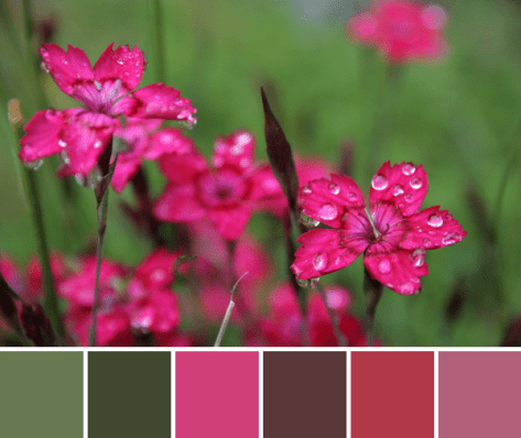 3756124115_d34310a16a_b-palette