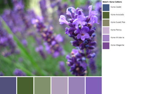 palette with kona cotton coordinates