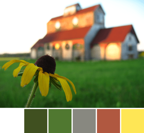 summer color palette
