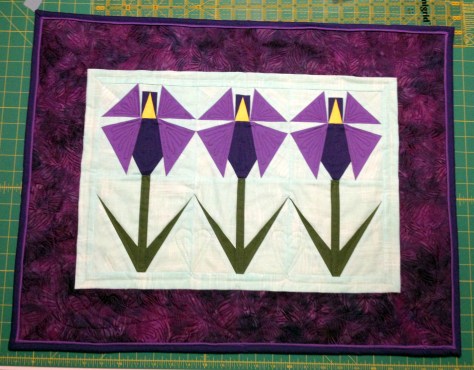 June's Irises - Front