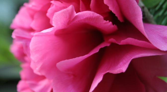 Color Inspiration Thursday {5}