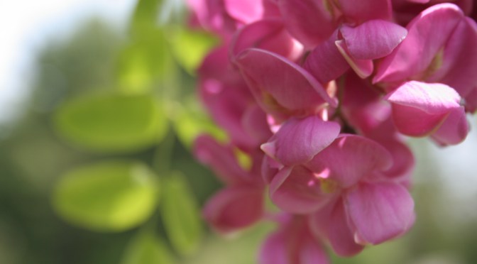 Color Inspiration Thursday {7}