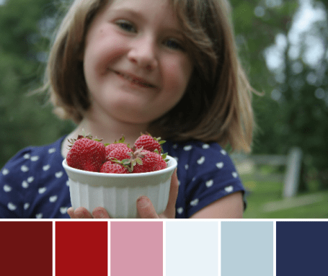 red white and blue color palette