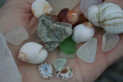 maine beach treasures