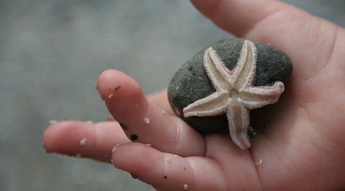 Color Inspiration Thursday {10}