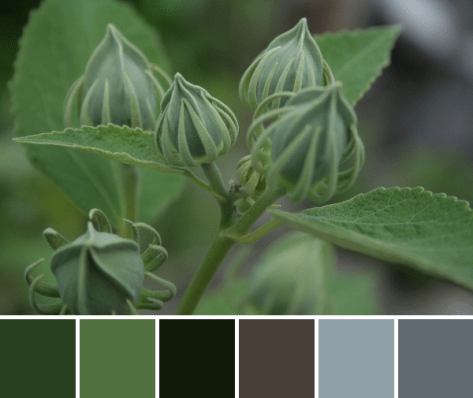 green color palette