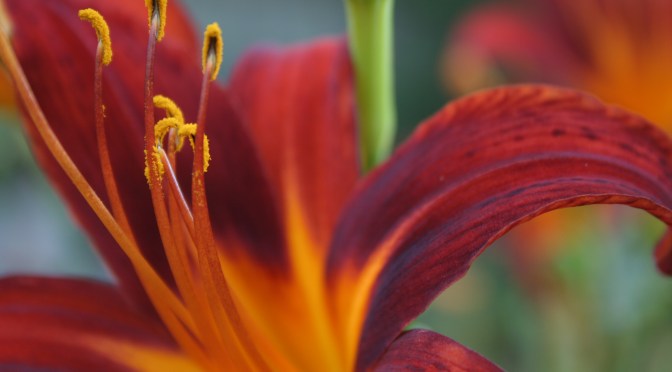 Color Inspiration Thursday {12}