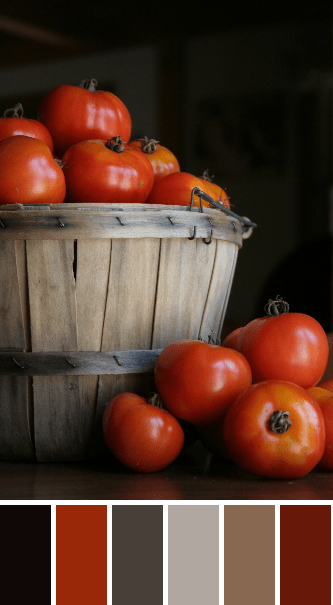 tomato color palette