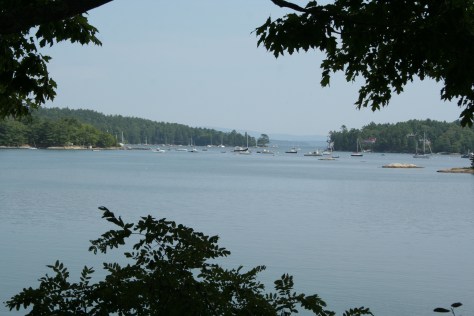 My gorgeous view of Blue Hill Harbor.