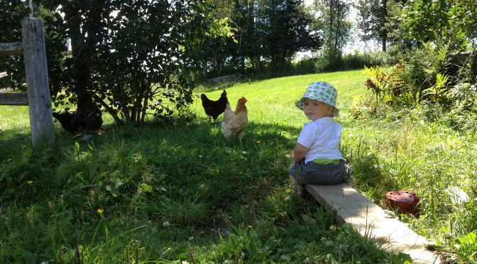 Around the World Blog Hop