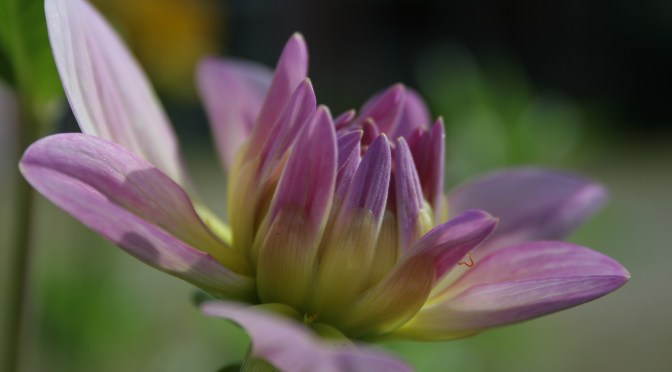 Color Inspiration Thursday {17}