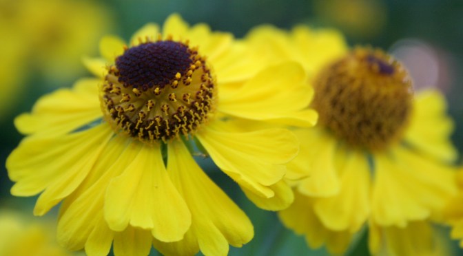 Color Inspiration Thursday {18}