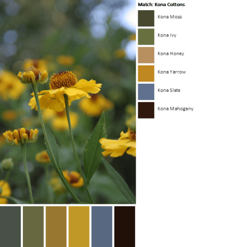autumn color palette
