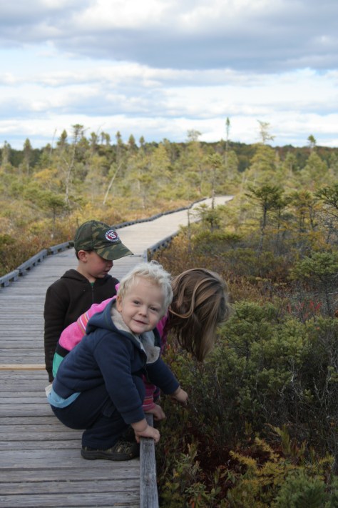 kids at the bog