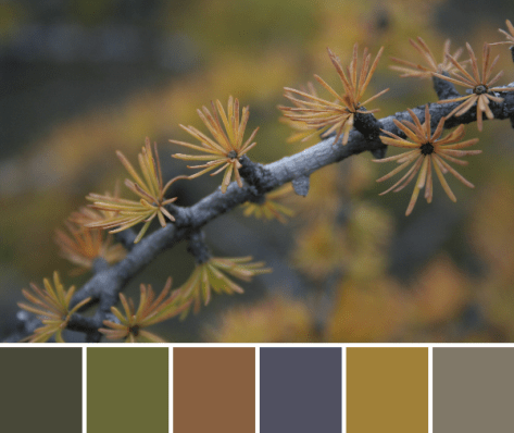 yellow gold color palette