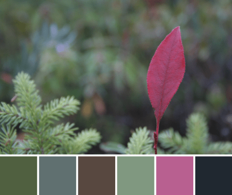 red leaf pop color palette