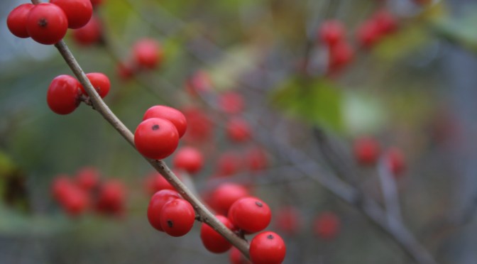 Color Inspiration Thursday {24}