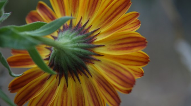 Color Inspiration Thursday {27}