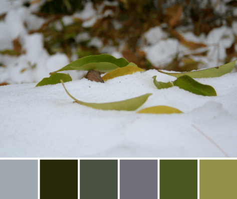 snowy fall color palette