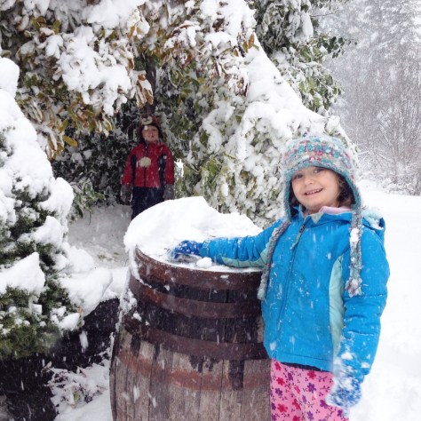 Round two. The snow continued to come down, and trees began to droop. I wish I had thought of knocking snow off branches at this point!