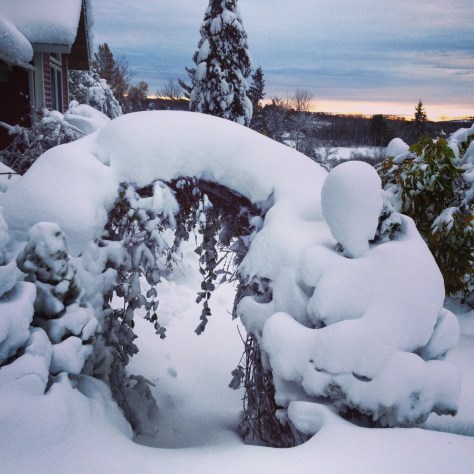 snow landscape maine