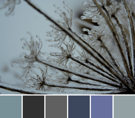 icy queen anne's lace color palette