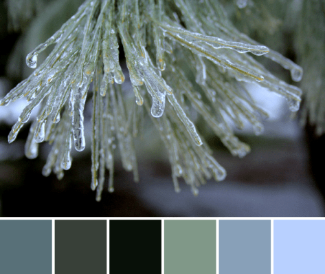 icy evergreen color palette