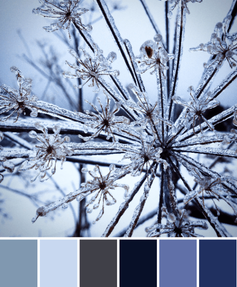 Instagram icy blues color palette