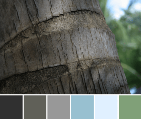 palm tree texture color palette