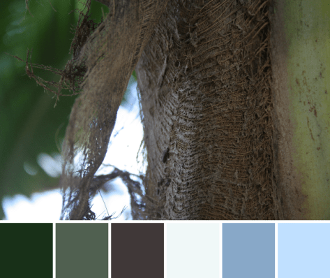 palm tree texture color palette