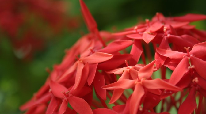 Color Inspiration Thursday {36}