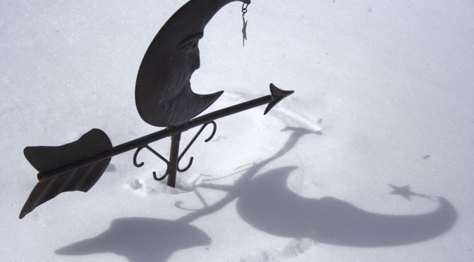 Color Inspiration Thursday {41}