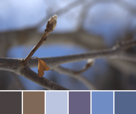 blue sky buds color palette