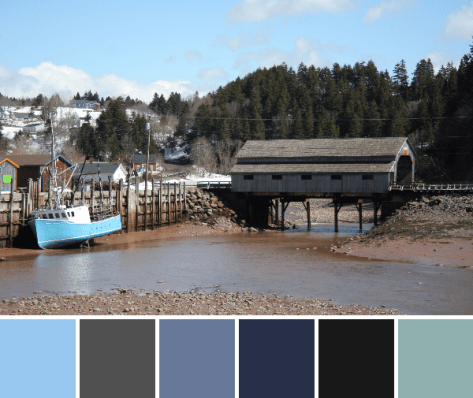 bay of fundy color palette