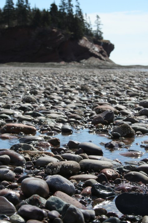bay of fundy