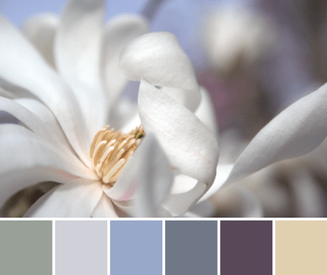 baby blues color inspiration color palette