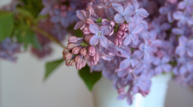 Color Inspiration Thursday {48}