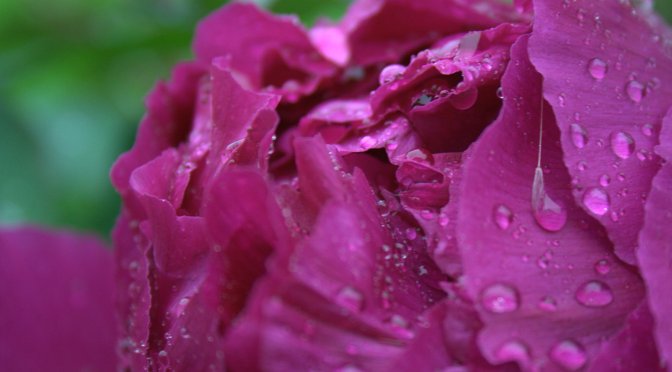 Color Inspiration Thursday {49}