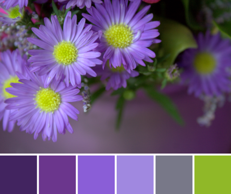 purple and lime flower color palette