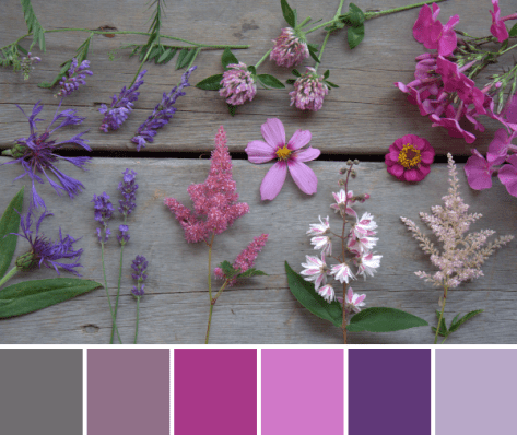 pink purple color scavenger hunt july maine 