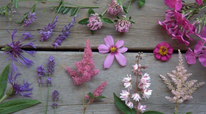 Color Inspiration Thursday {54}