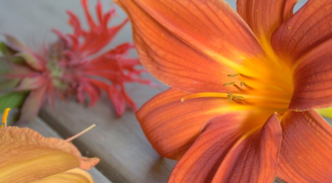 Color Inspiration Thursday {55}