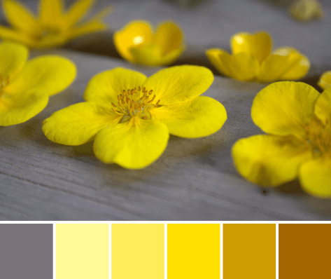 yellow flower color palette