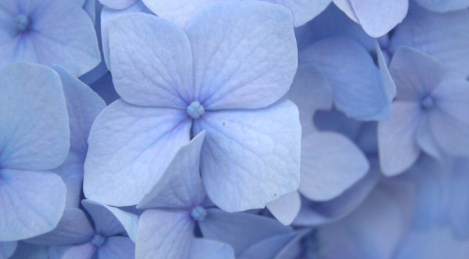 Color Inspiration Thursday {57}