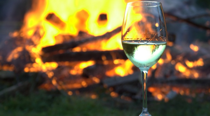 wine and bonfire color palette